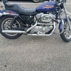 Harley 