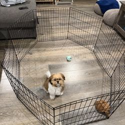 Wired Pet Playpen 