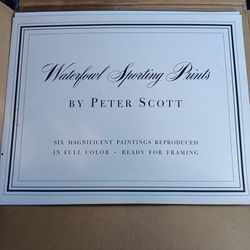 Waterfowl Sporting Prints By Peter Scott