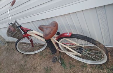 Beach Cruiser