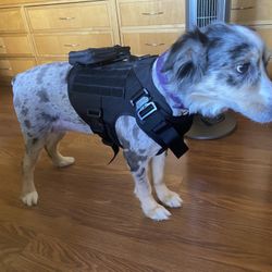 ICEFANG Tactical Dog Harness SIZE LARGE