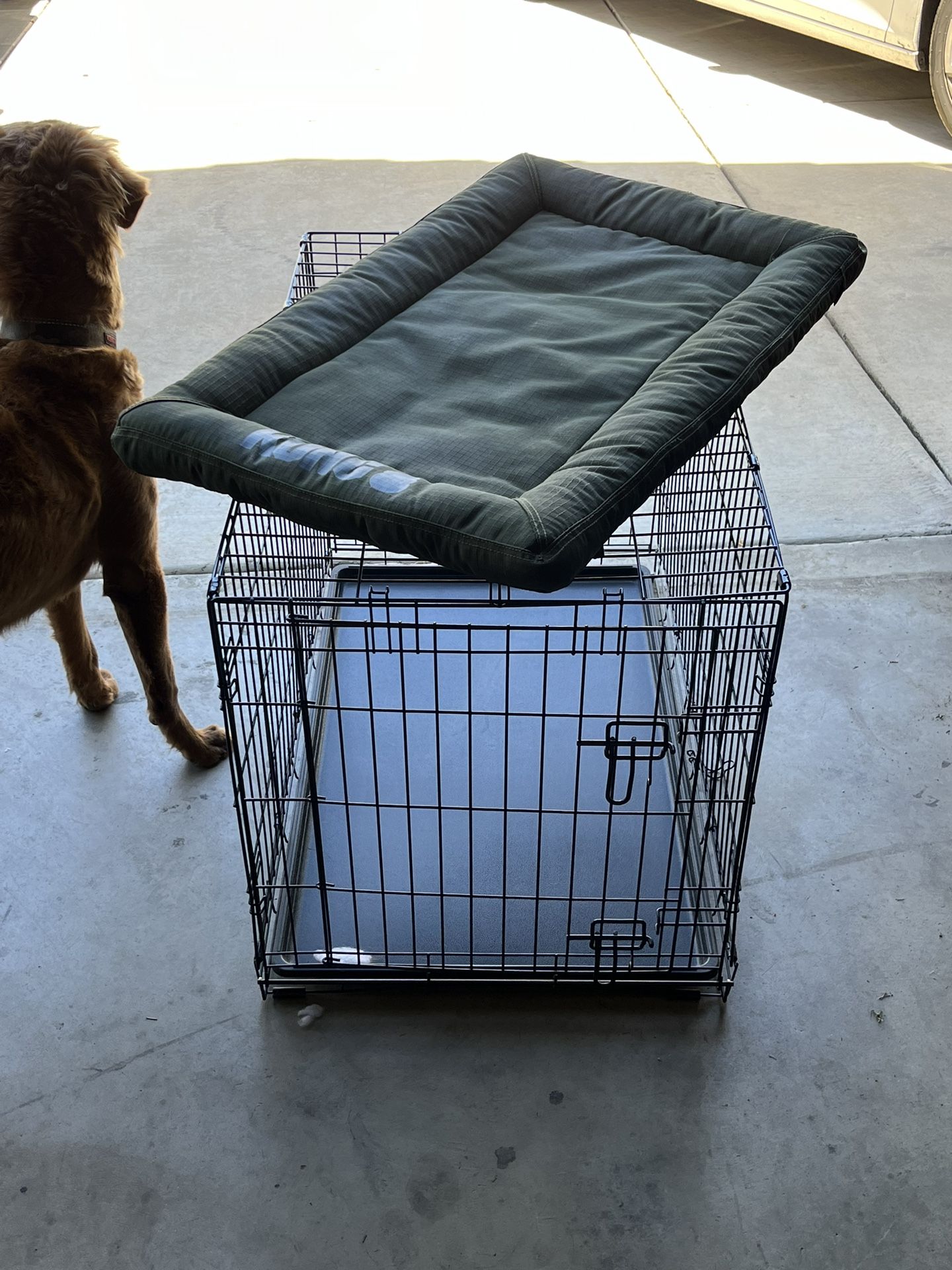 Dog Kennel And Mat 