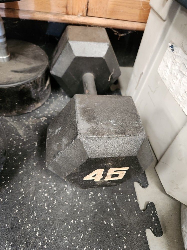 45lb Single Dumbbell Gym Weight $40