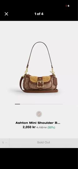 coach bag