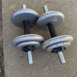 20 Lbs Dumbbells 