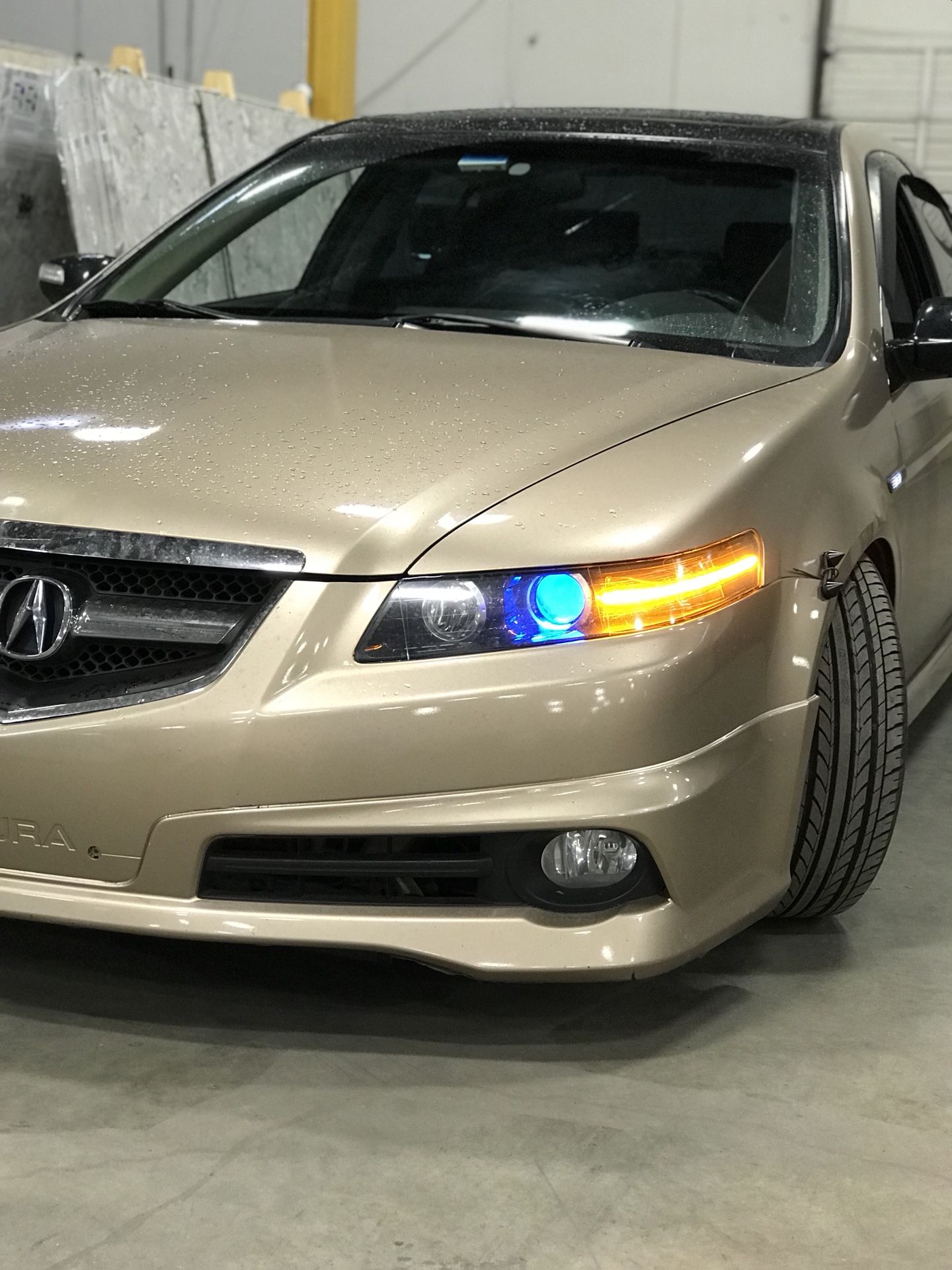 2004 Acura TL