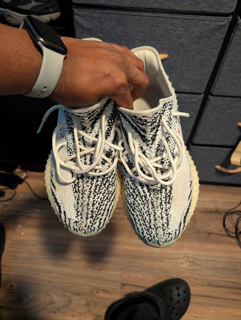 Yeezy Adidas Zebras Size 9