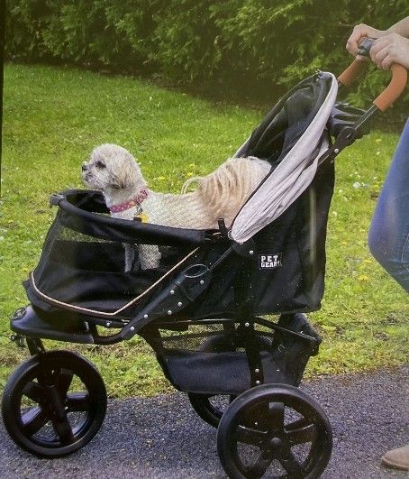 Pet Stroller