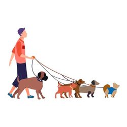 Dogwalker Good