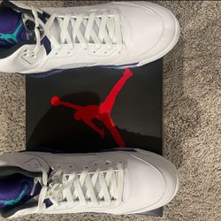 Air Jordan 5 Grapes