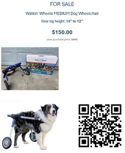 Dog Wheelchair