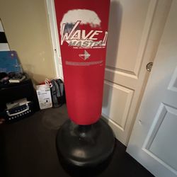 Century Punching/Aerobic Bag 