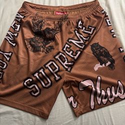 Supreme shorts (Large)