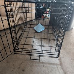 Kennel