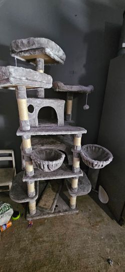 Cat house