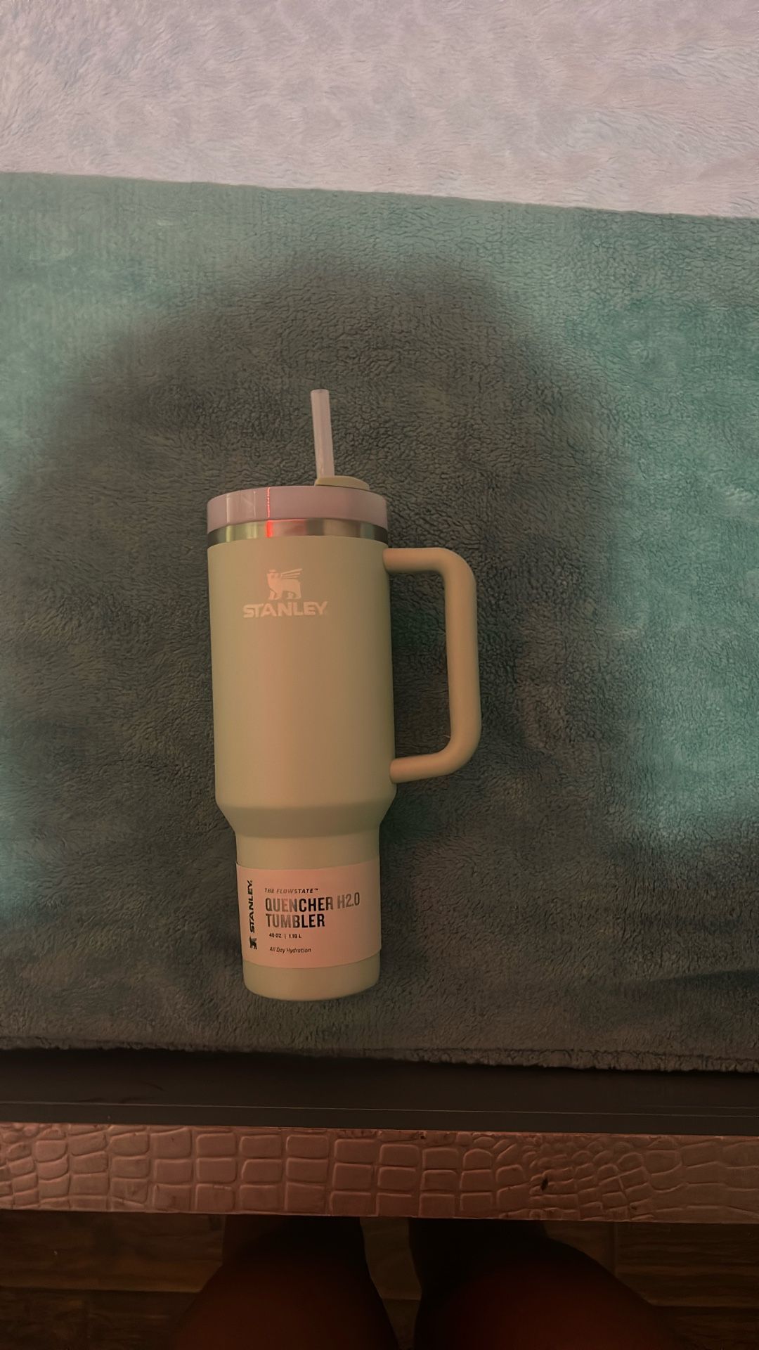 40 oz light green stanley