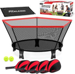 Pickleball 360 game with 4 Paddles