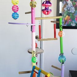 Parakeet Play Gym #10