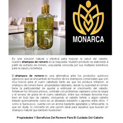 Rosemary Shampoo & Oil