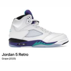 Jordan 5 Grapes Sz 6-13