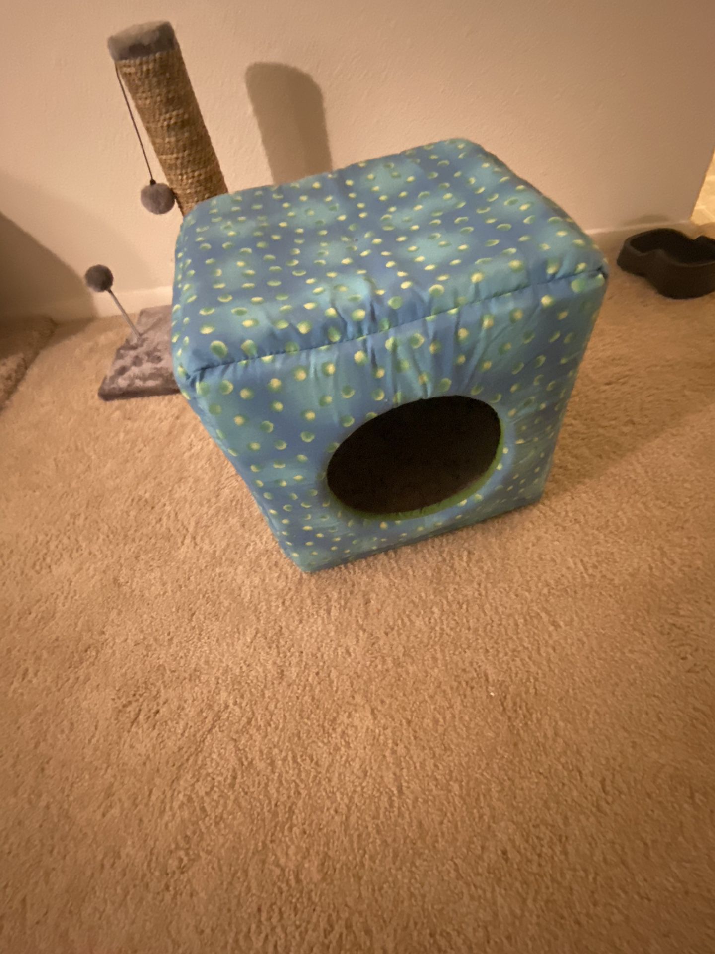 Small cat or dog house