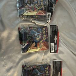 Pokémon Portfolio With Tcg Booster Pack