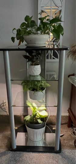 Shelf   PlayStation VCR  or plants