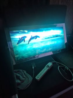 Dolphin glowing light