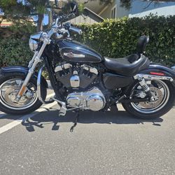 2011 Harley Davidson Custom 1200 sportster