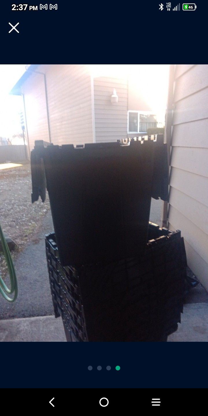Storage Totes With Hinged Lids