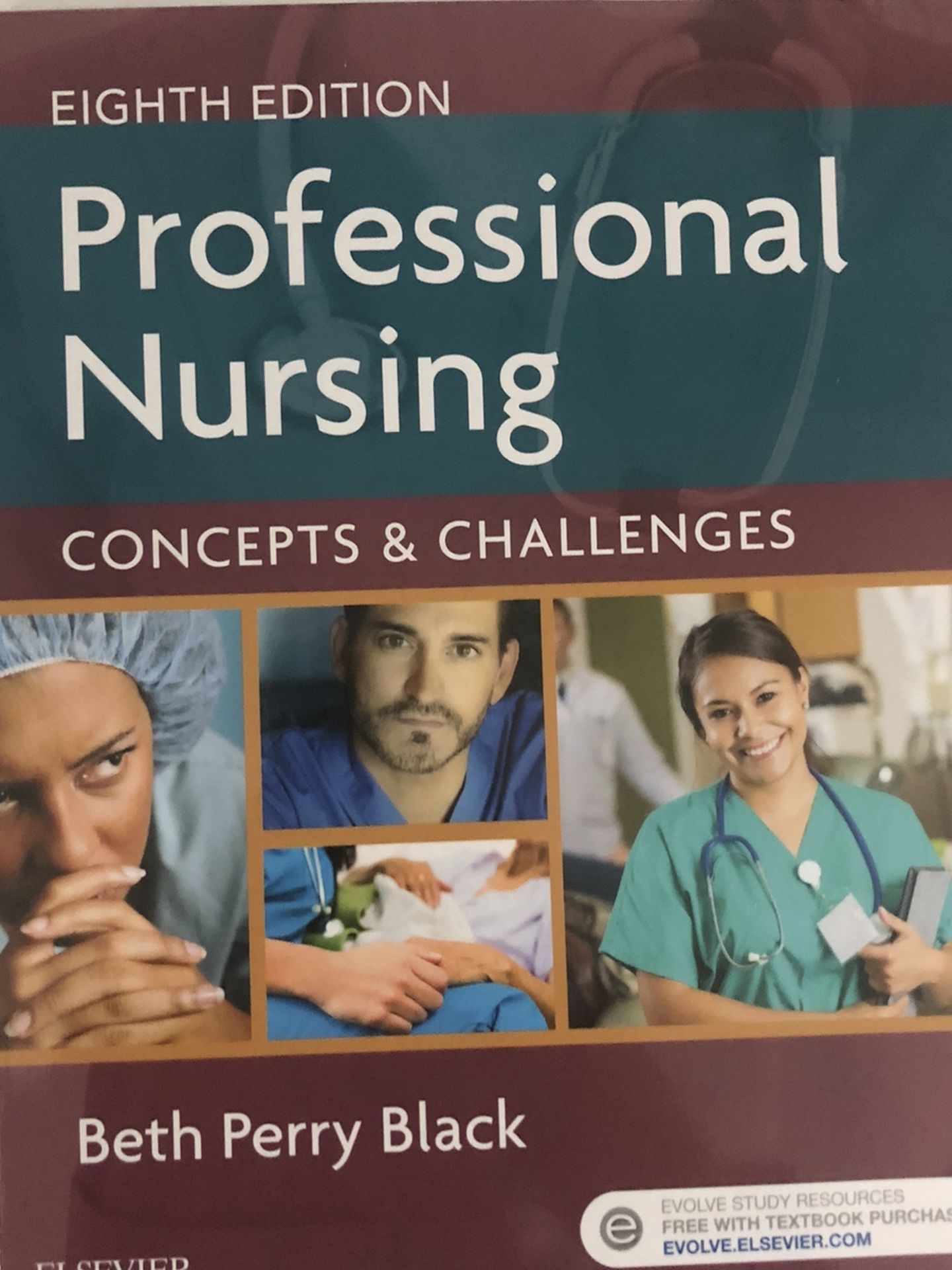 Professional Nursing 8th Edition