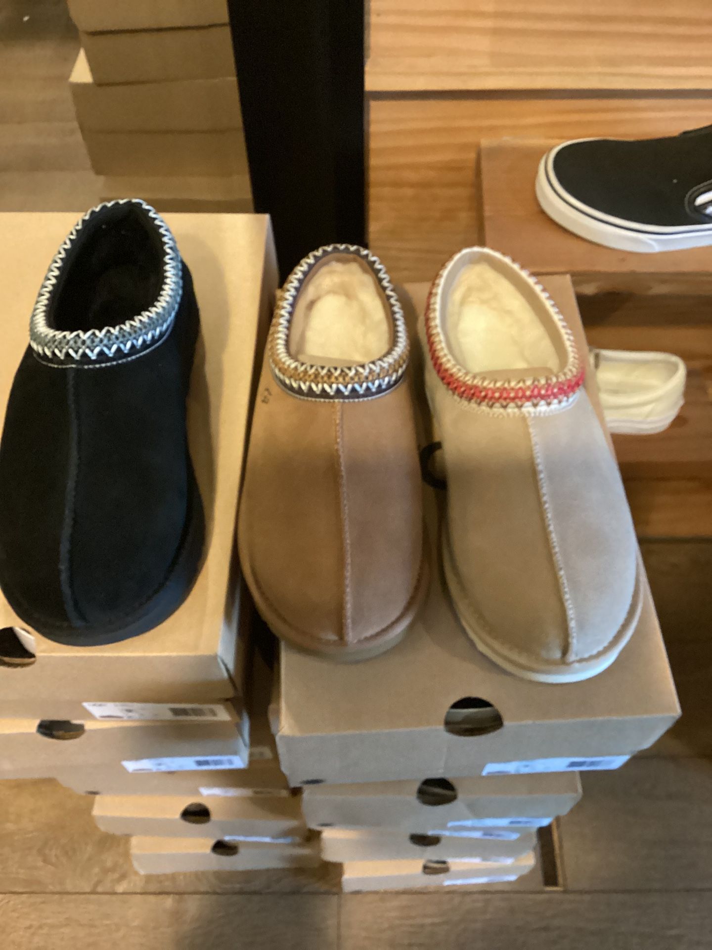 Tasman Big Kids, Women And Men All Size All Color