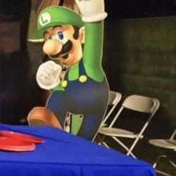 Mario and Luigi stand cutouts