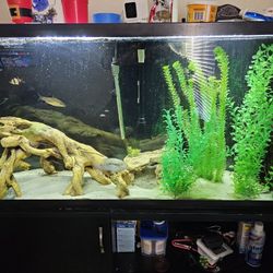 55 Gallon Fish Tank 