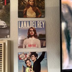 Lana Del Rey Vinyls and Book