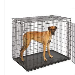  XXL dog Kennel