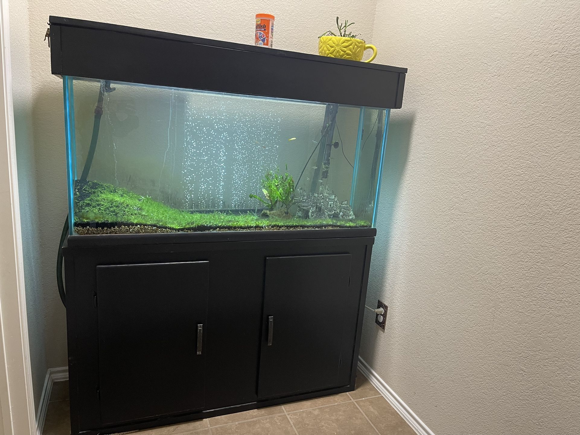 55 Gallons Aquarium ( Fish Tank) With Canister, Filter, Electronic Heater, Air Pump Etc.
