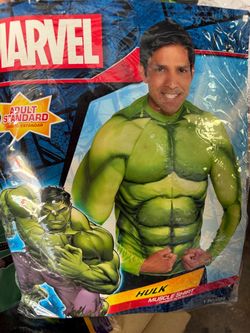 Marvel Hulk Muscle Halloween Adult Costume