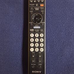 Sony Bravia RM-YD023 Remote