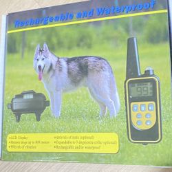 Dog Training Collar 