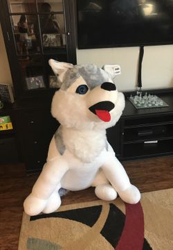 Large stuffed husky.