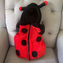 Lady Bug Costume