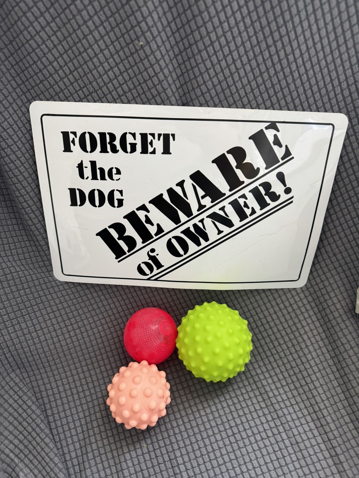 for a small dog/cat a stand with plates, water dispenser and toys, all for $20