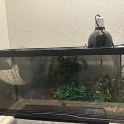 Ball Python Enclosure 