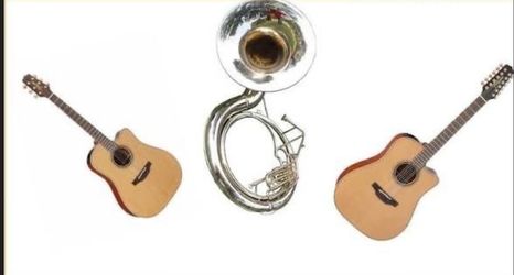 Grupo Sierreño con tuba 2 estilos  por el mismo precio acordeon guitarra y tuba y 2 guitarras y la tuba