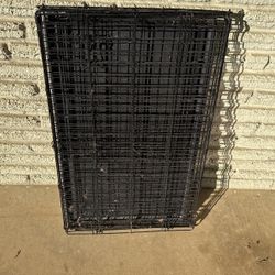 Dog Kennel 