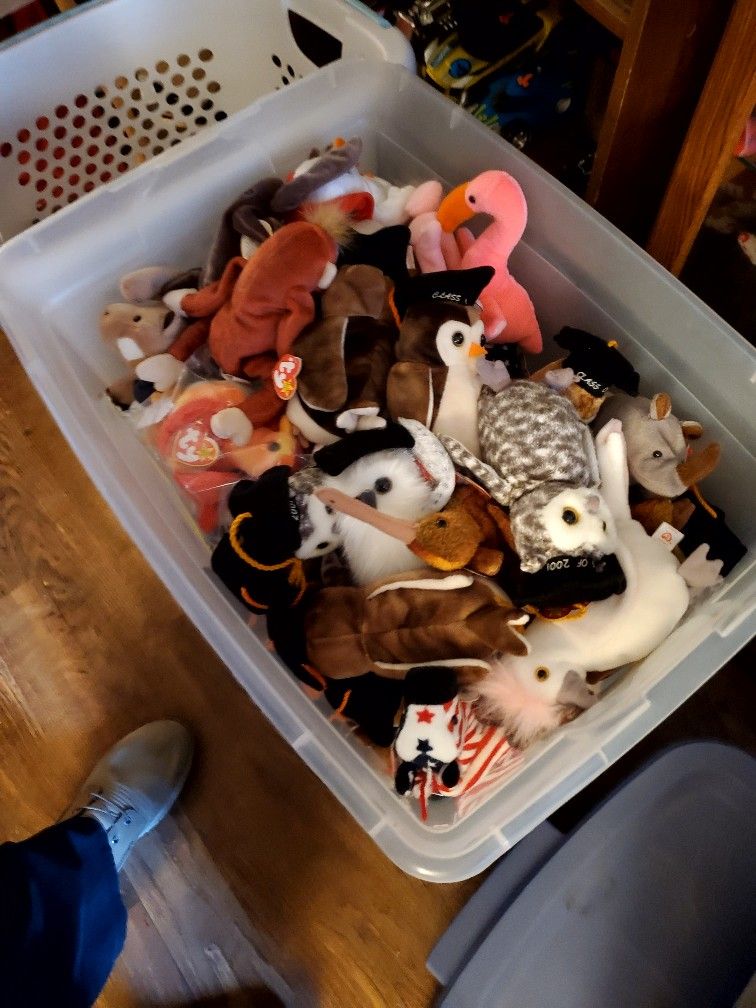 Beanie Babies $2 Each
