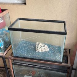 30 Gallon Fish Tank