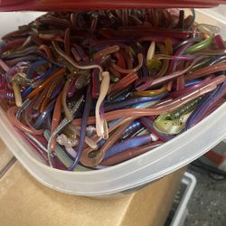 Big Tub Of Arizona custom Baits Bass Fishing Worms All Colors 