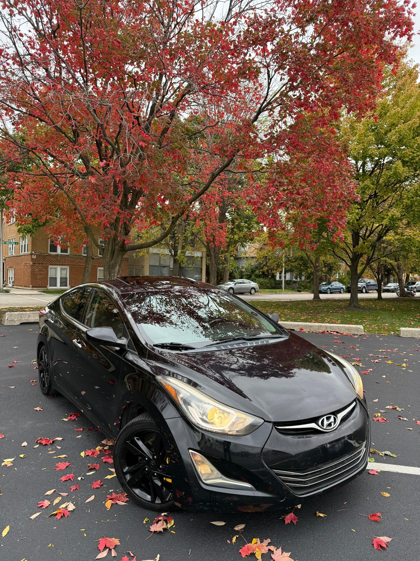 2014 Hyundai Elantra